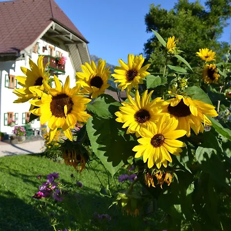 Kerschbaumergut Apartment Grossgmain