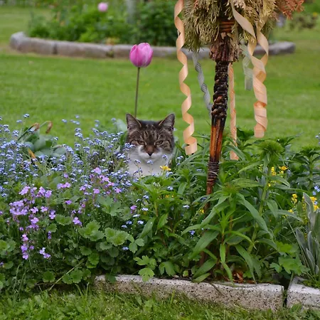 Apartment Kerschbaumergut *