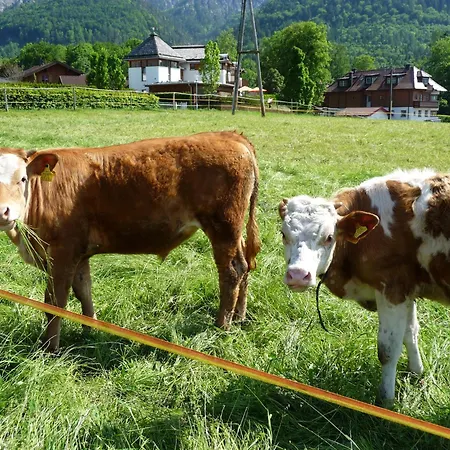 Kerschbaumergut Appartamento *