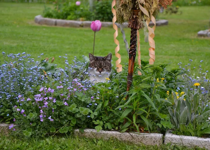 アパート Kerschbaumergut *