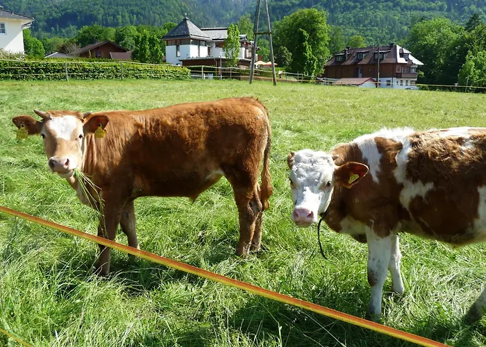 Kerschbaumergut Lägenhet *